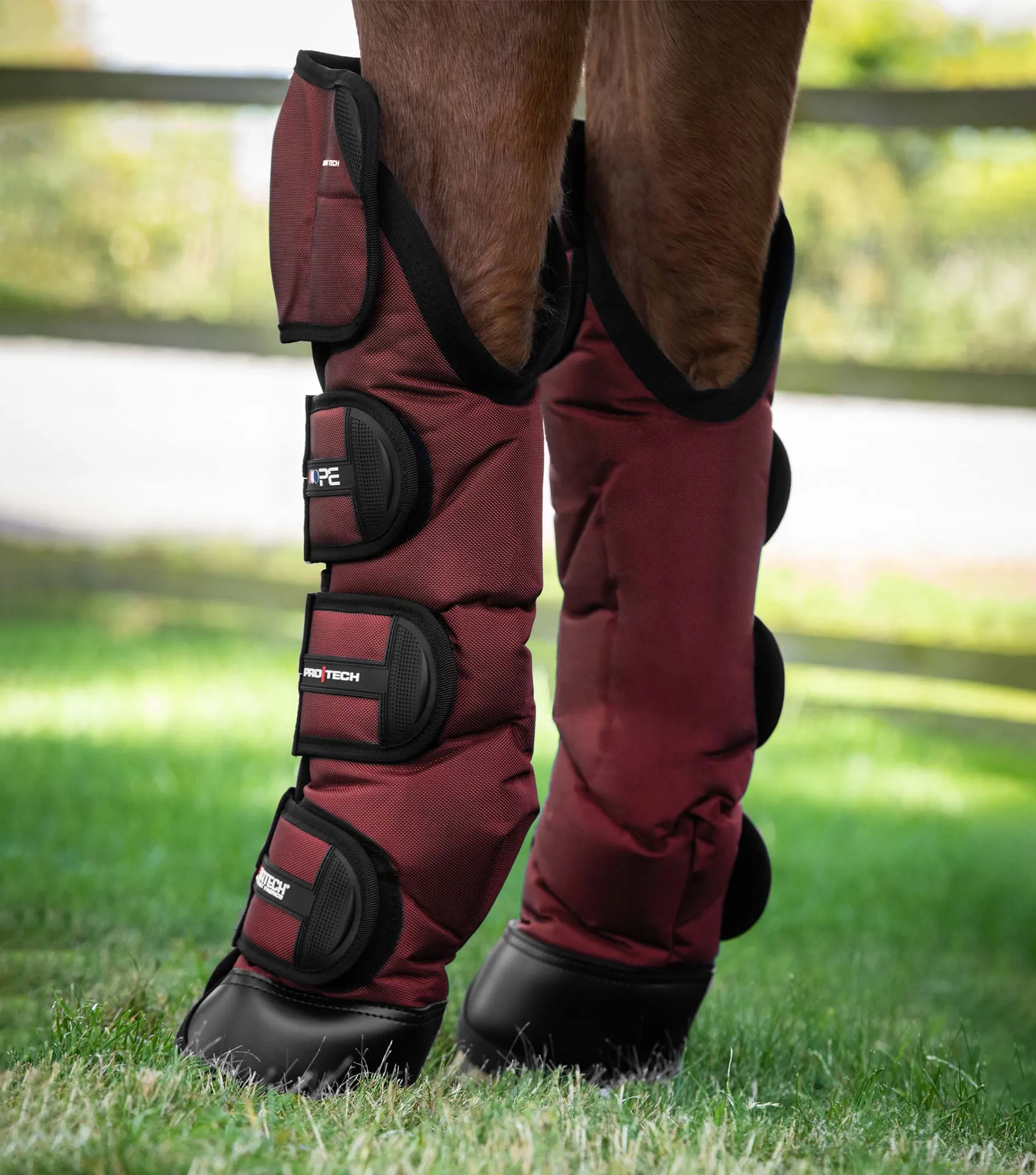 Ballistic Knee Pro-Tech Horse Travel Boots Burgundy