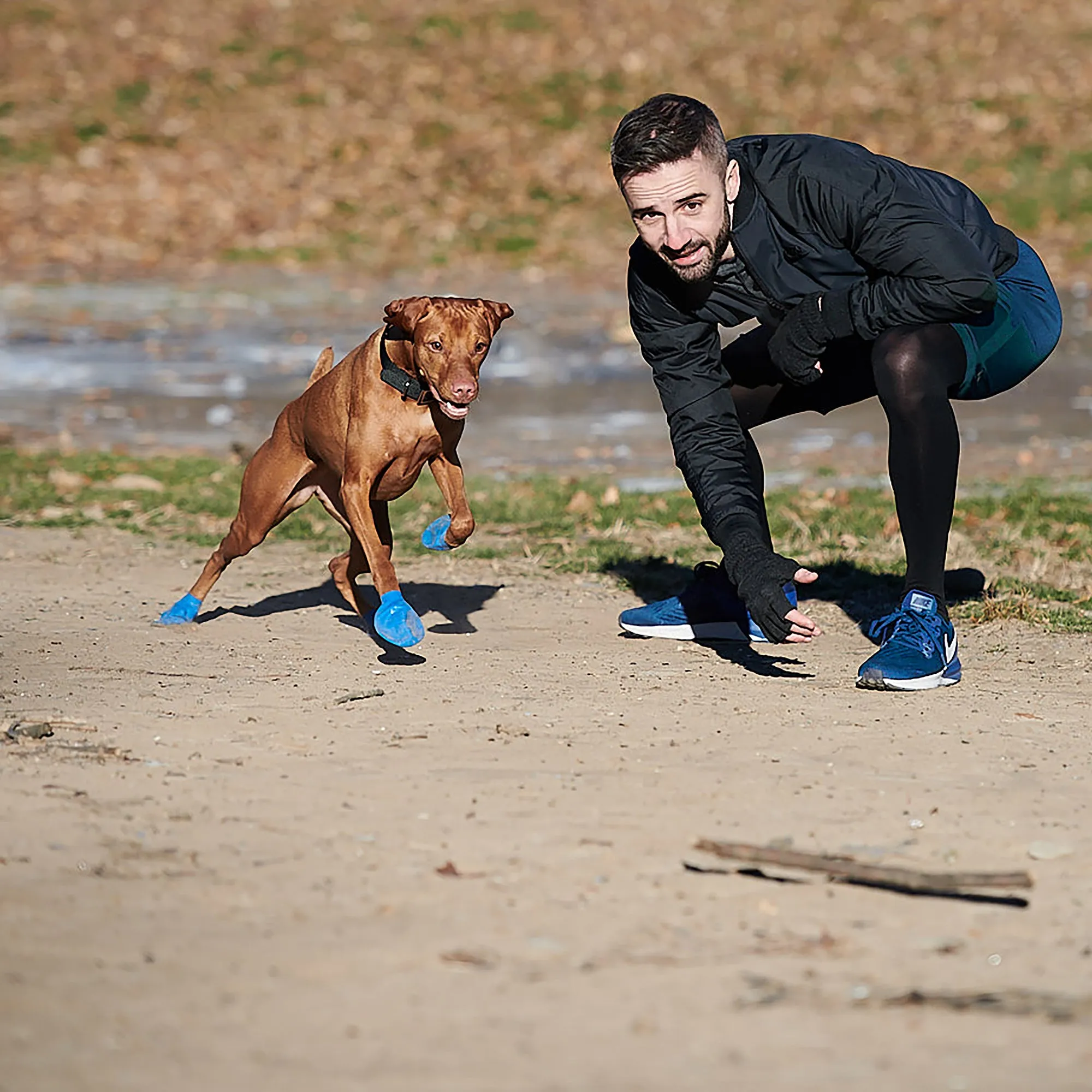 Pawz Disposable Dog Boots