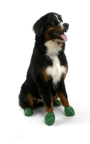 Pawz Disposable Dog Boots