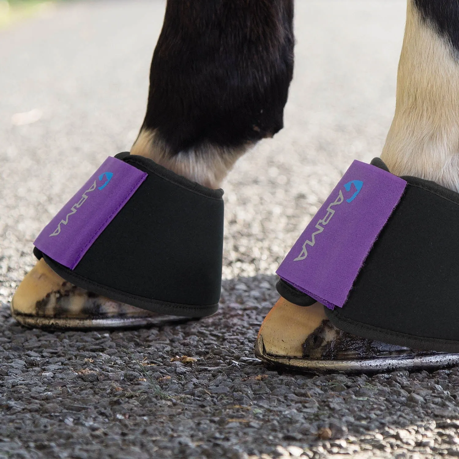 Shires Arma Neoprene Over Reach Boots